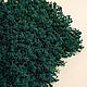 Набор 3 картины из стабилизированного мха со слебами. Стабилизированный мох. Озеленение Интерьера Greenery. Ярмарка Мастеров.  Фото №5