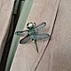 Order Dragonfly brooch made of polymer clay. AnnaMalnaya. Livemaster. . Brooches Фото №3
