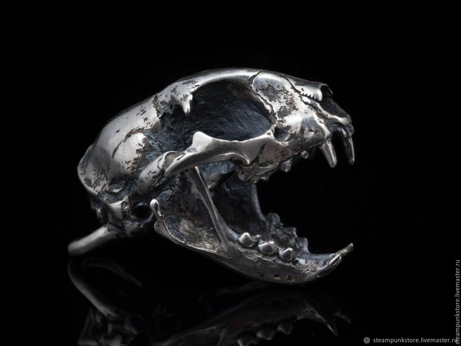 Анатомический череп кошки. Череп кота Металлический точный череп кошки ...