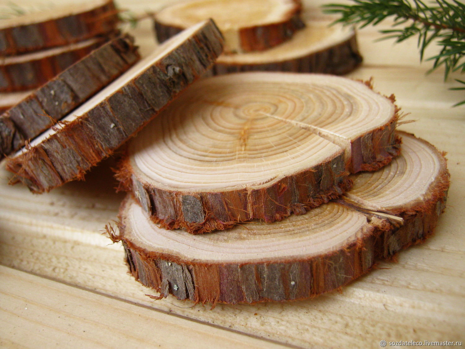 Купить Спилы Дерева Ростов На Дону