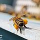 Пыльца цветочная, пчелиная обножка свежая, 2024 год. Мед. Paseka-v-redkodube. Ярмарка Мастеров.  Фото №5