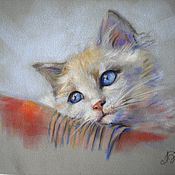 Picture pastel cat on the window (daisies green red violet)