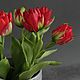 Красные тюльпаны. Композиции. Елена Щеглова (art-flowers). Ярмарка Мастеров.  Фото №4