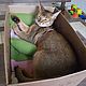 Box for cats BOX4CAT without a Mat-couches. Accessories for Pets. roonya (cat-inbox). Online shopping on My Livemaster.  Фото №2