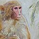 Order Oil painting 'Light Monkey', round painting. Zhanne Shepetova. Livemaster. . Pictures Фото №3