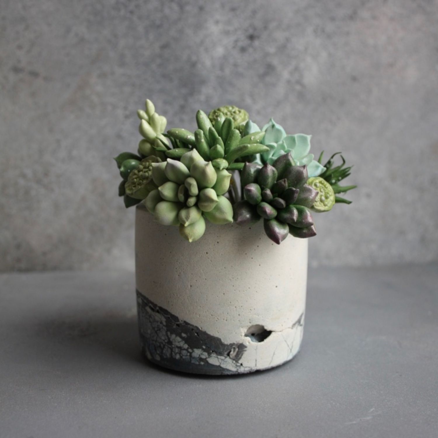 Суккуленты в кашпо в интернет-магазине на Ярмарке Мастеров | Композиции ...
