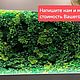  Стабилизированный мох - панно. Элементы интерьера. Brus Decor. Ярмарка Мастеров.  Фото №6