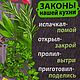 Набор полотенец "Царь кухни". Полотенца. Марина Ковалевская. Ярмарка Мастеров.  Фото №4