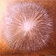 The painting 'the Star' (dandelion). Pictures. 'ZOLOTAYa PALITRA' hudozhnik A. Shirshov (shirshovart). My Livemaster. Фото №4