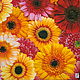 9pcs napkin for decoupage flower fields calendula Daisy print, Napkins for decoupage, Moscow,  Фото №1