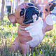 French bulldog figurine 24 cm. Portrait Doll. artroombullibull. My Livemaster. Фото №5