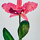 Орхидея каттлея. Композиции. FLORISTA. Ярмарка Мастеров.  Фото №4