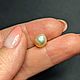 Дикий Морской Жемчуг. Крема 3,18ct. Минералы. Astro.gems. Ярмарка Мастеров.  Фото №5