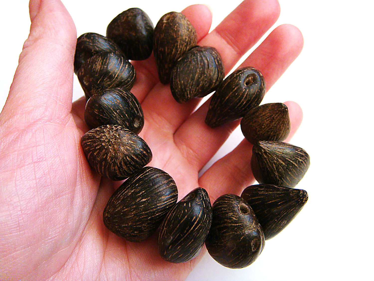 золотой орех. золотые грецкие орехи с пожеланиями. золотые орешки. серьги орешки золотые. золотые орешки с предсказаниями.