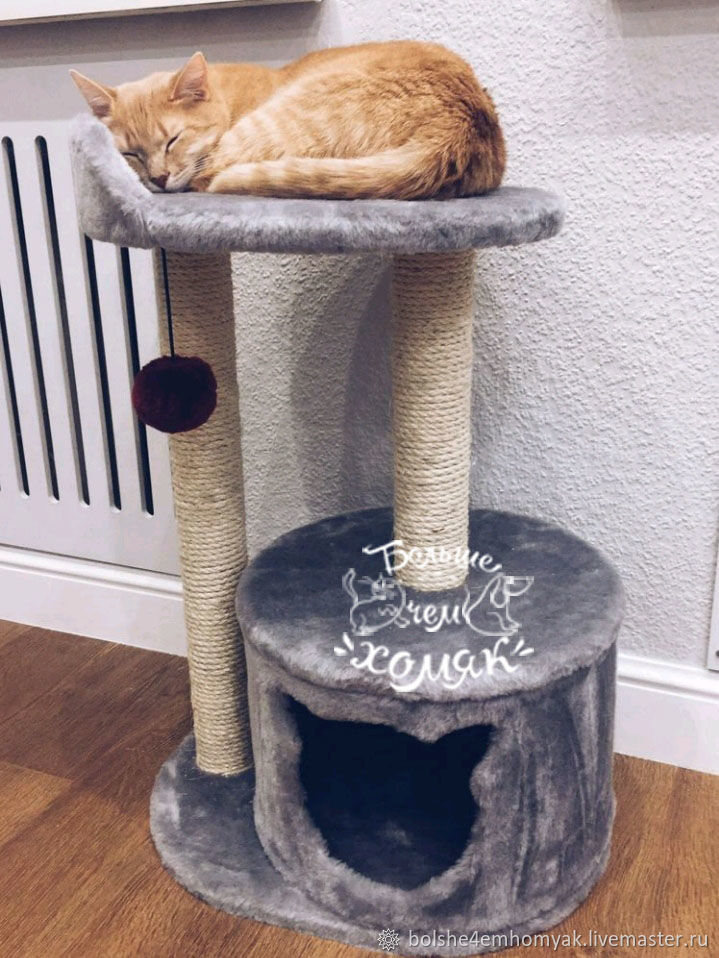 дом для кота дом для кота