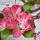 Bonsai Azalea Cold porcelain. Bonsai. KG_flowers. My Livemaster. Фото №4