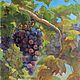 Картина: Виноградная лоза, холст на оргалите, масло, 26х37,5, Картины, Новосибирск,  Фото №1