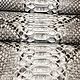 Python skin, in gray and black, soft dressing, Leather, St. Petersburg,  Фото №1