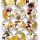 12 штук набор Пуговицы Красота Осеннего Леса с цветами ягодами грибами, Пуговицы, Химки,  Фото №1