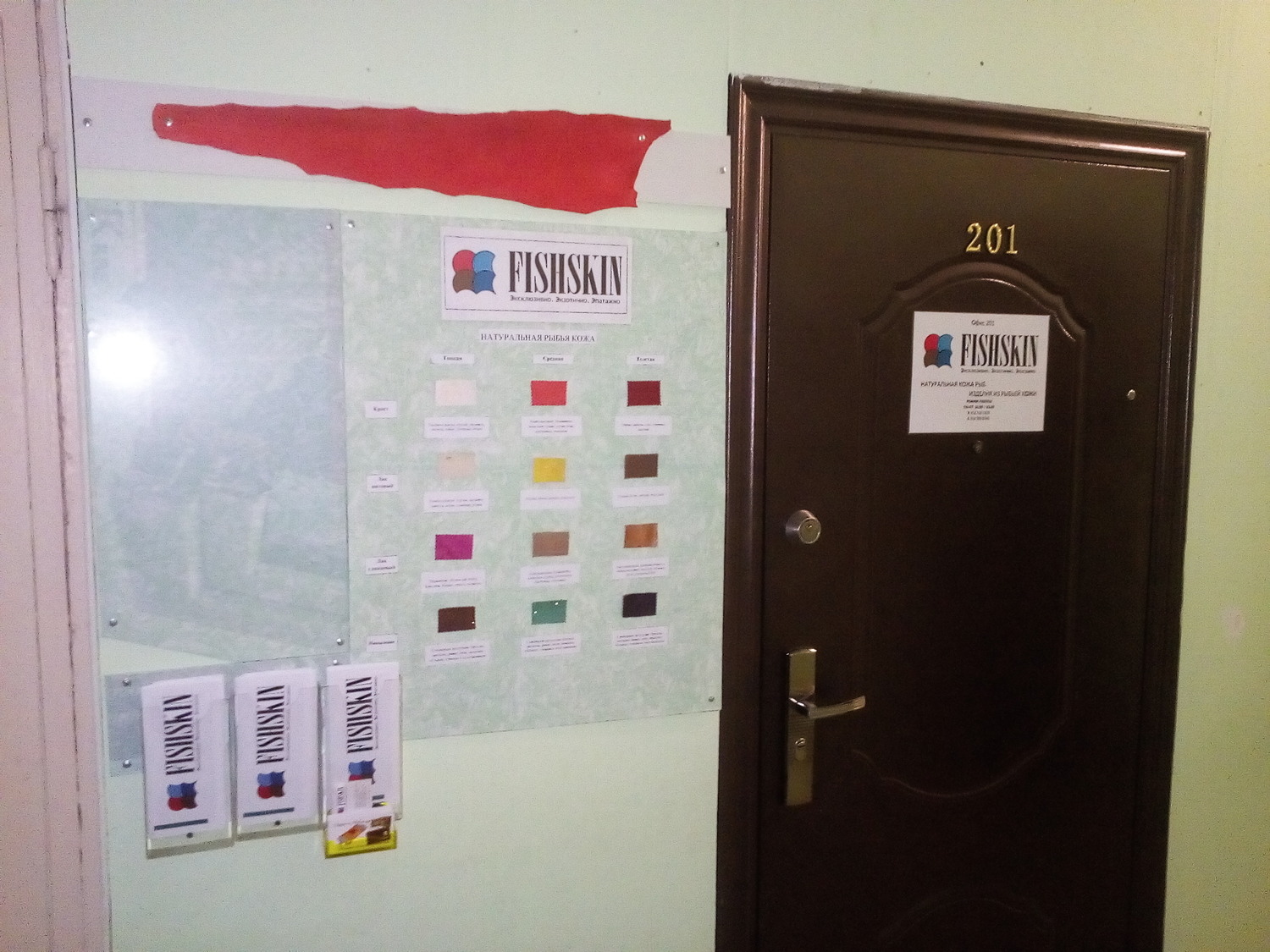 Наш офис и стенд с образцами кожи рыб