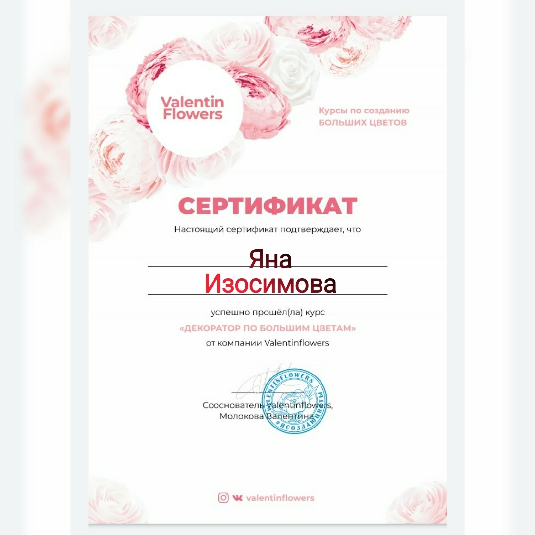 Мой профиль