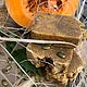 Pumpkin soap natural with cinnamon. Soap. Solar Soap. Online shopping on My Livemaster.  Фото №2