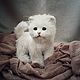 Teddy Animals: little white kitten. Teddy Toys. Teddybeasts. My Livemaster. Фото №5