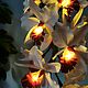 Order Flower-nightlight orchid 'Aria'. Elena Krasilnikova. Livemaster. . Nightlights Фото №3