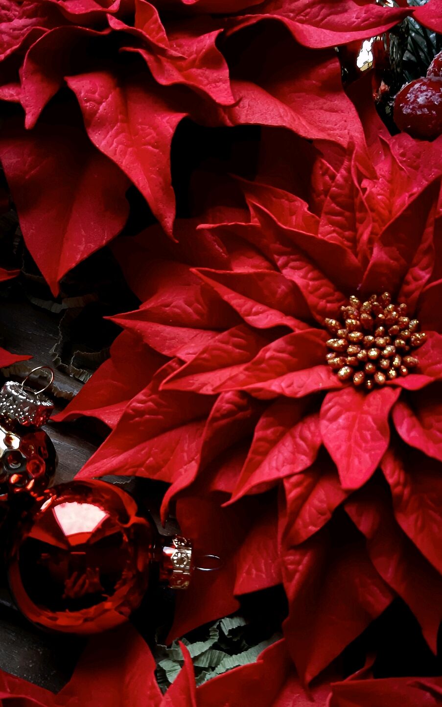 Рождественская звезда (пуансеттия) своими руками: из фоамирана, ткани
