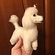 Пудель  Леон. Войлочная игрушка. Чудо на ладони (chudo-na-ladony). Ярмарка Мастеров.  Фото №5