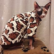 Clothing for cats 