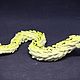 Order Snake. House Show Dragon (YouD). Livemaster. . Miniature figurines Фото №3
