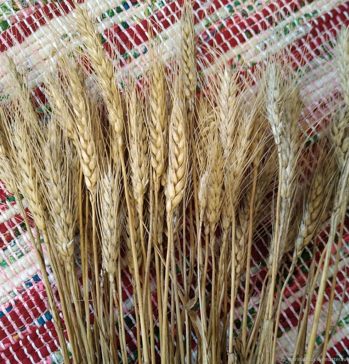 Пшеница в вазе декор в интерьере