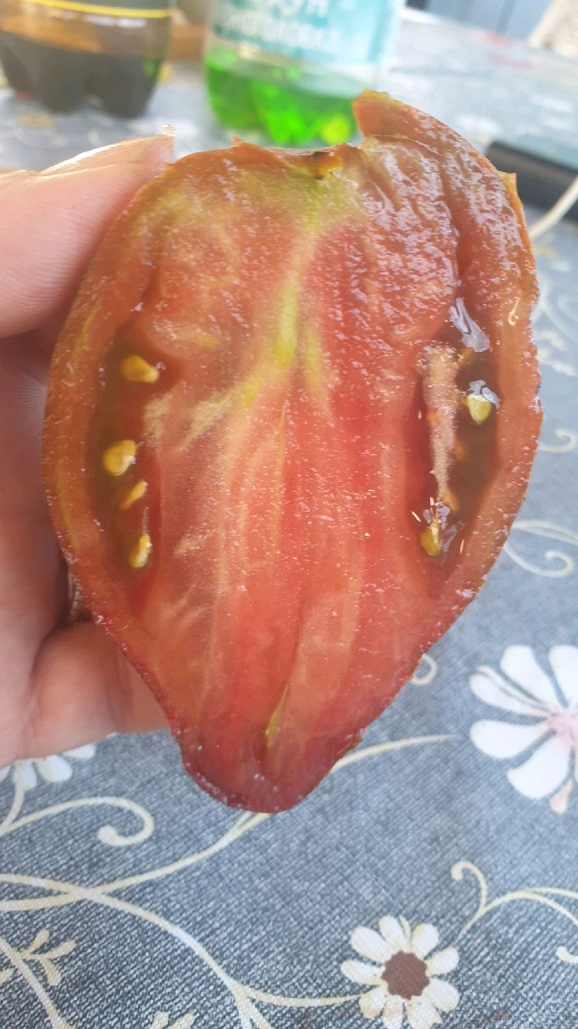 Семена Помидор Званый Вечер Купить