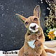 Teddy Animals: Kangaroo Rufus, Teddy Toys, Kinel,  Фото №1