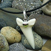 Pendant-pendant bull shark tooth with this blue opal 1 carat