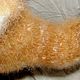 Socks TAYGA mens dog hair. Socks. Livedogsnitka (MasterPr). My Livemaster. Фото №5