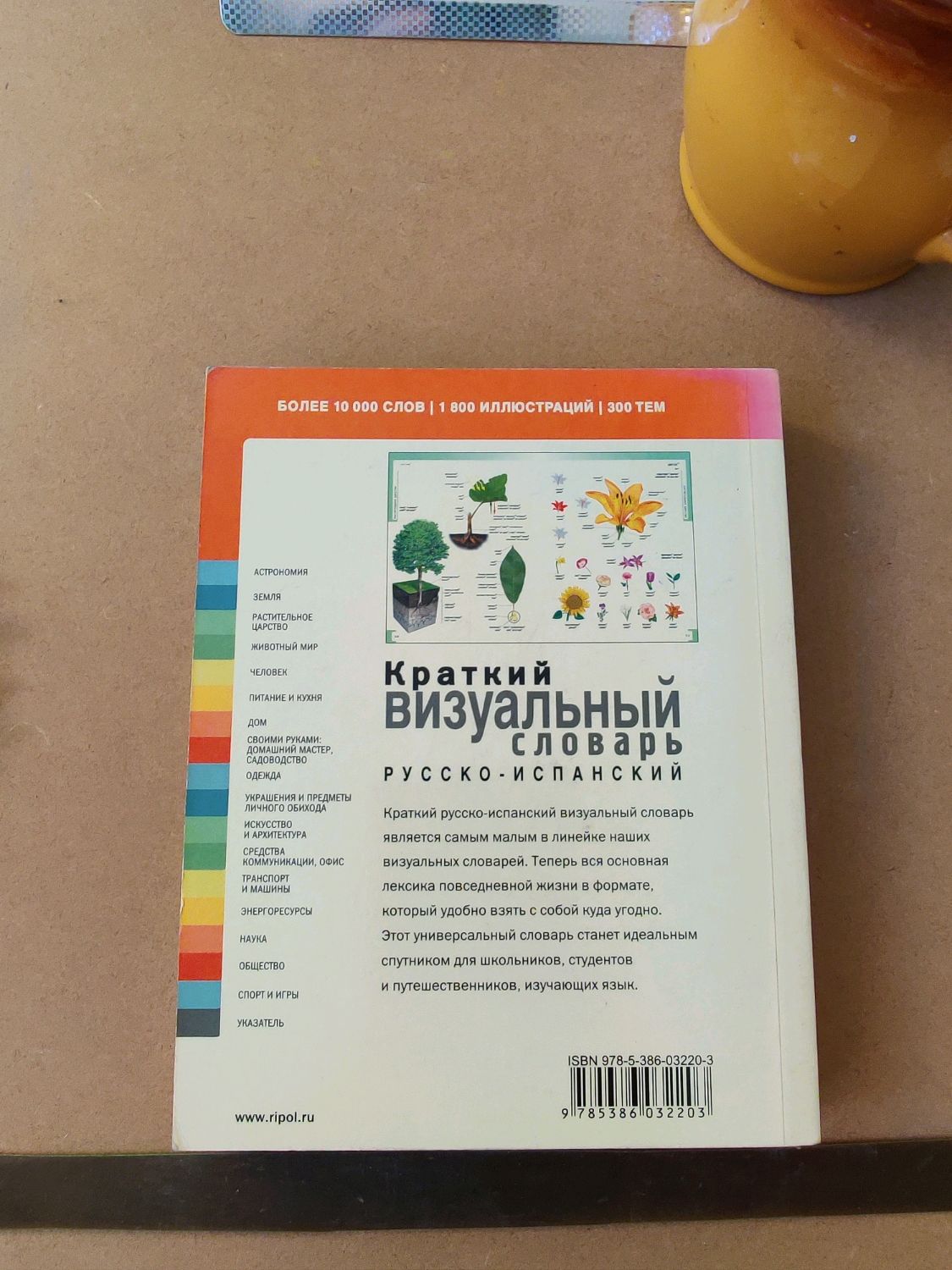 Винтаж: Краткий визуальный словарь русско-испанский в интернет-магазине  Ярмарка Мастеров по цене 1020 ₽ – TIPOSRU | Книги винтажные, Москва -  доставка по России