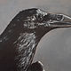  "Черный ворон" картина масляной пастелью, Картины, Екатеринбург,  Фото №1