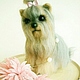 el perro de la fifa - yorkshire terrier. Stuffed Toys. ZOYA KHOLINA. Ярмарка Мастеров.  Фото №5