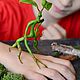 Заказать Фигурка из полимерной глины Лечурка Bowtruckle. Кира Горбова. Ярмарка Мастеров. . Мини фигурки и статуэтки Фото №3