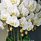 Заказать Цветочная композиция белая искусственная Орхидея в кашпо. FLORIDA FLOWERS. Ярмарка Мастеров. . Элементы интерьера Фото №3
