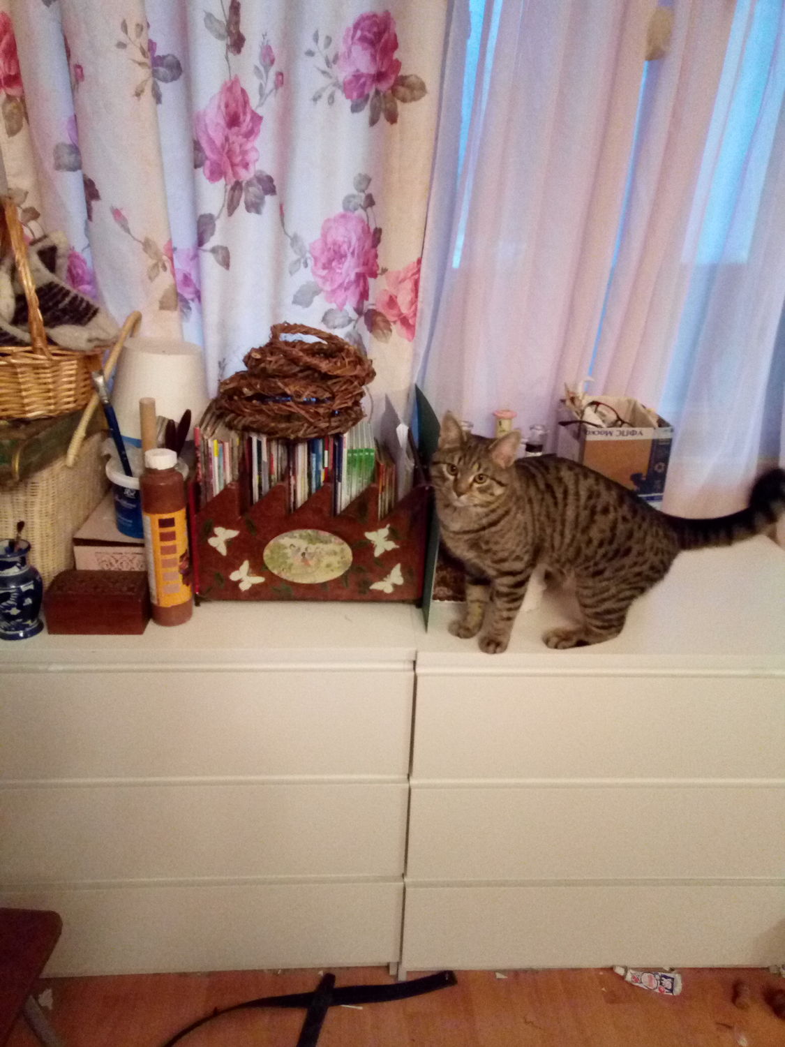 Мой профиль