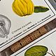 Заказать Винтаж: Панно плитка Botanica 3 шт. на ленте 73 см. сКЛАДъ 2. Ярмарка Мастеров. . Предметы интерьера винтажные Фото №3