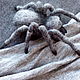 Brooch 'Spider 8' grey. Brooches. Shahtinochka. Online shopping on My Livemaster.  Фото №2