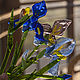Iris bouquet of flowers, Stained glass, Samara,  Фото №1