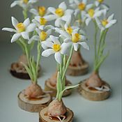 Сувениры и подарки handmade. Livemaster - original item Gifts for March 8: miniature white narcissus. Handmade.