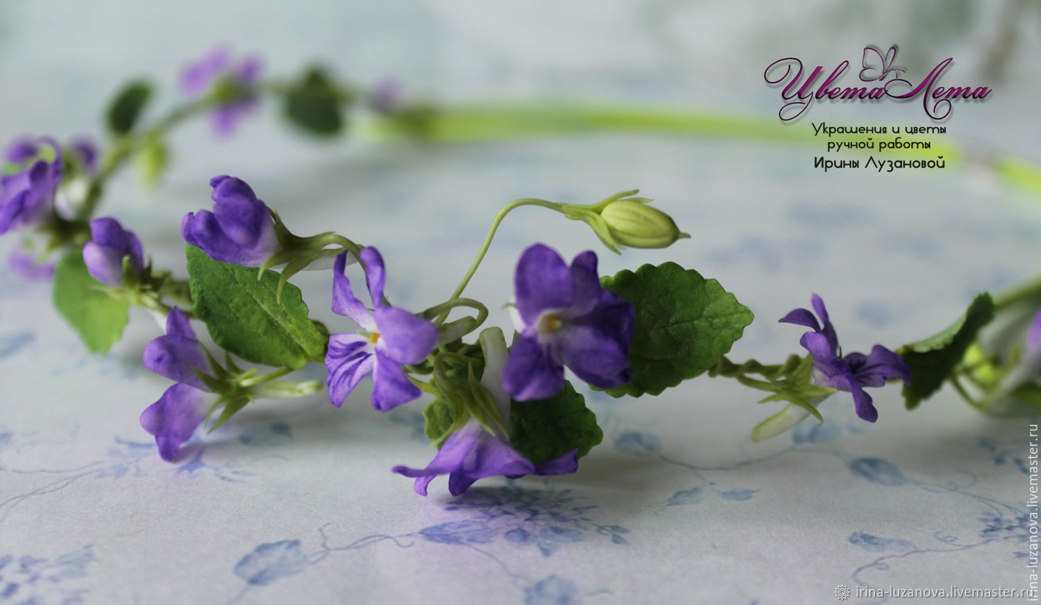Violets wildlife diary
