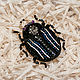 Order Brooch Beetle semen), rhinestones, beads. IRNI. Livemaster. . Brooches Фото №3