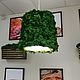 Lampshade-chandelier made of stabilized moss, Ceiling and pendant lights, Belgorod,  Фото №1